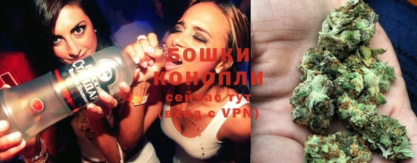 spice Алексеевка